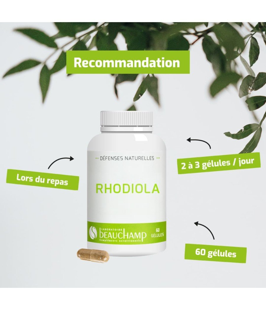 Gélules de Rhodiola