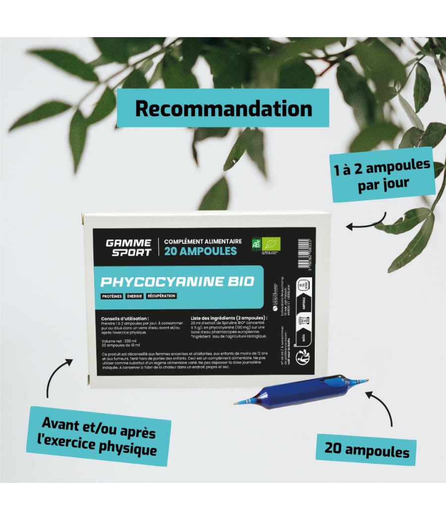 Phycocyanine récupération sport