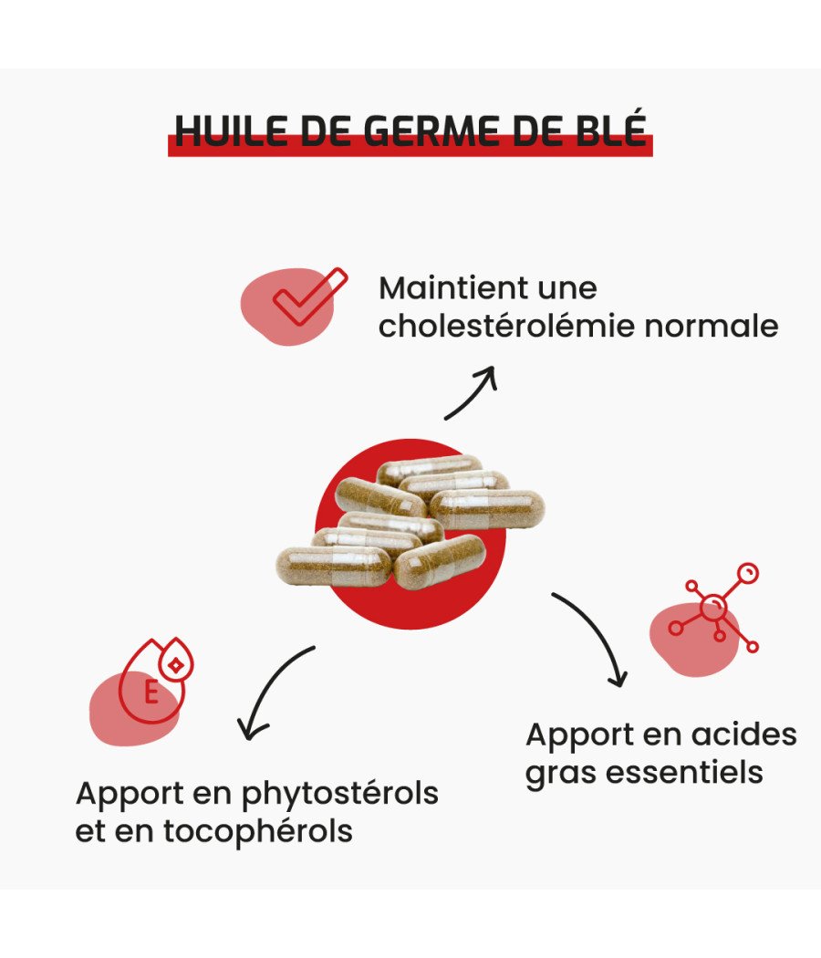Huile de germe de blé cholestérol