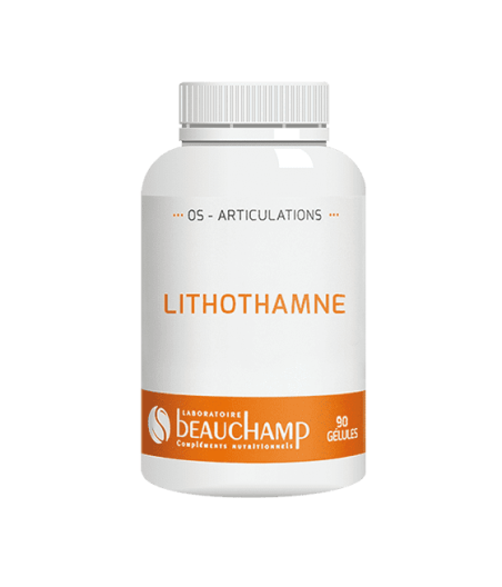 Lithothamne