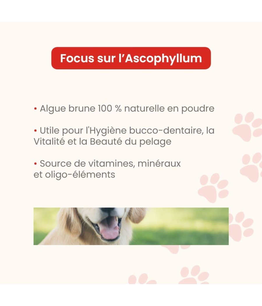 Complément pour chiens/chats Ascophyllum