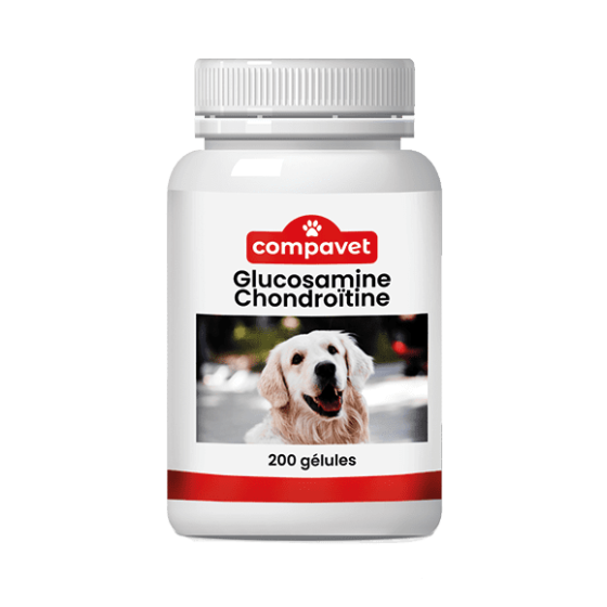 Complément pour chiens/chats Glucosamine Chondroïtine