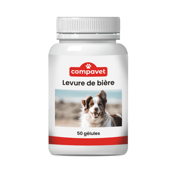 Complément pour chiens/chats Levure de bière