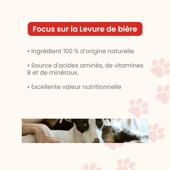 Chiens et Chats  Levure de bière en gélules - Beauté du pelage