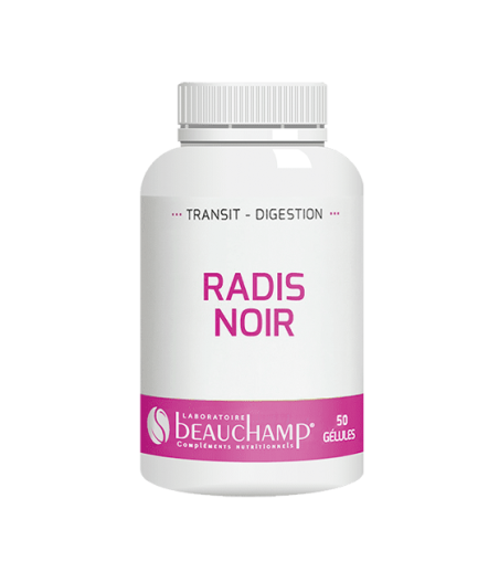 Radis noir