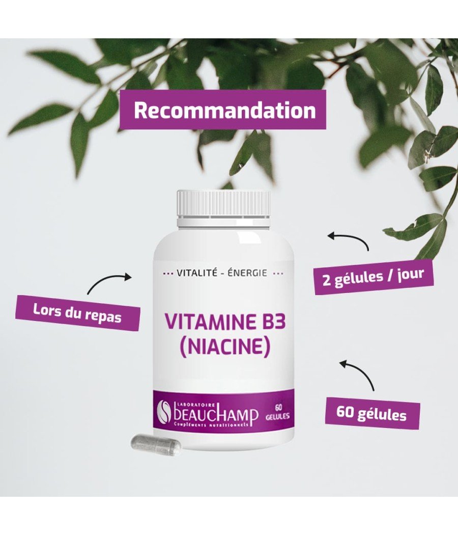 Gélules de Vitamine B3